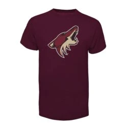 '47 BRAND Arizona Coyotes 47 Brand NHL Fan Tee Shirt